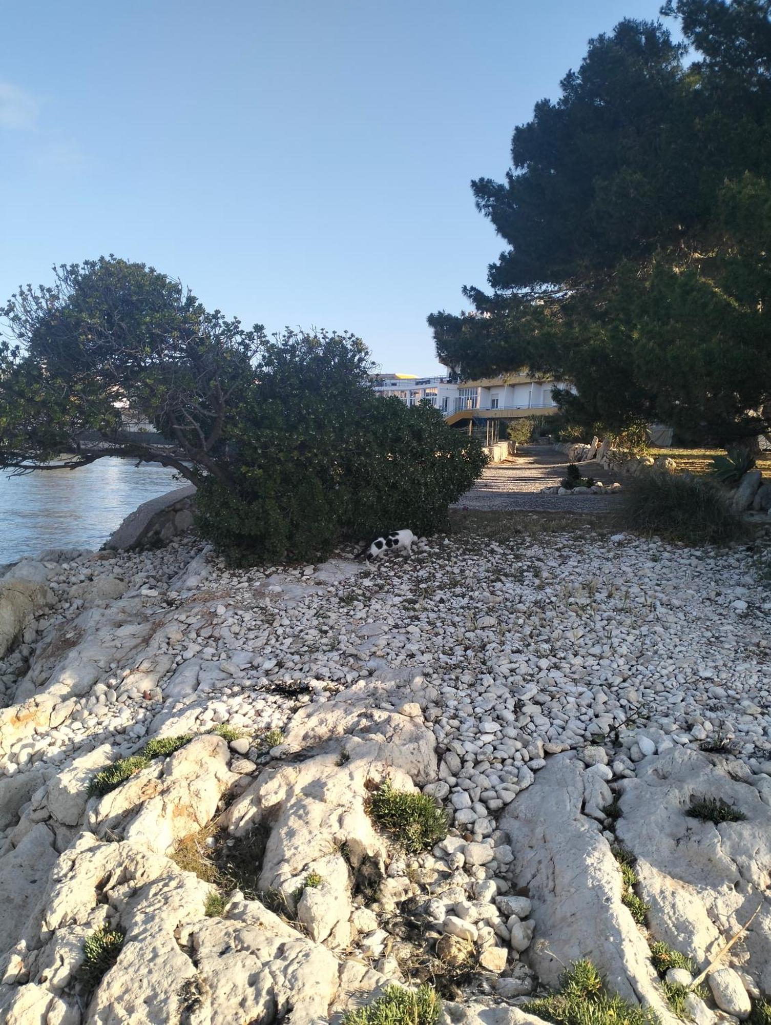Calamosca 3*